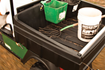 2-Passenger Golf Cart with Utility Bed